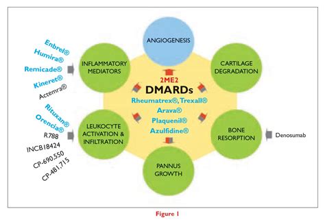 Treating Rheumatoid Arthritis with Disease-Modifying Antirheumatic Drugs (DMARDs) and Biologics ...