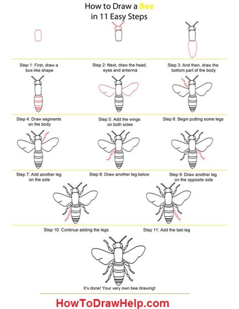 Learn How to draw a Bee Step by Step tutorial for kids. Visit for details: http://howtodrawhelp ...