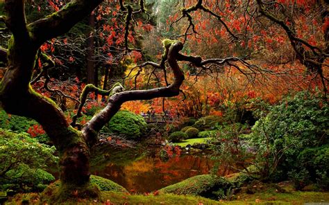 Japanese Garden Desktop Wallpapers - Wallpaper Cave