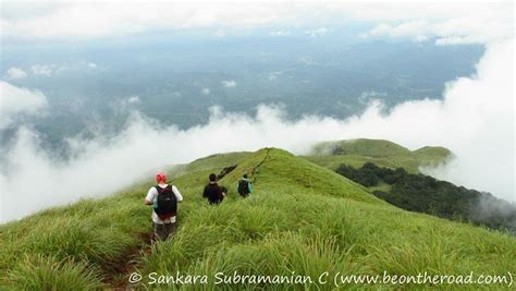 Trekking in Western Ghats