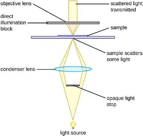 Types of microscopes - Microbiology Notes