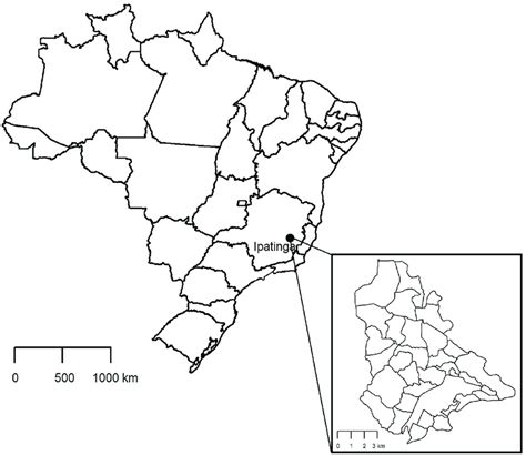 Geographic location of the city of Ipatinga in the Brazilian state of... | Download Scientific ...