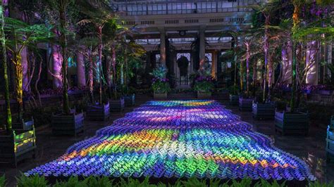 Guide to Longwood Gardens' Stunning New Light Exhibit | Visit Philadelphia