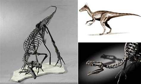 150-million-year-old 'Bird Robber' dinosaur skeleton to be auctioned