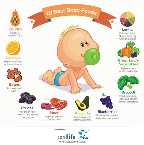 10 Best Baby Foods | Infographics