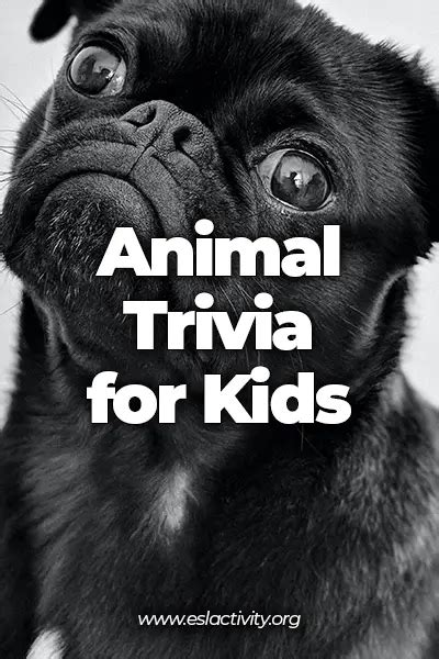 30+ Animal Trivia Questions for Kids (Easy/Hard/Intersting)