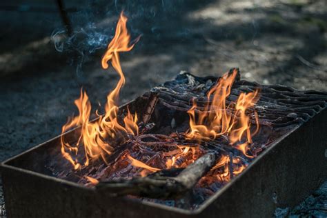 Kostenlose foto : Holz, Rauch, Lebensmittel, Flamme, Feuer, Lagerfeuer, Fleisch, Grill, Küche ...