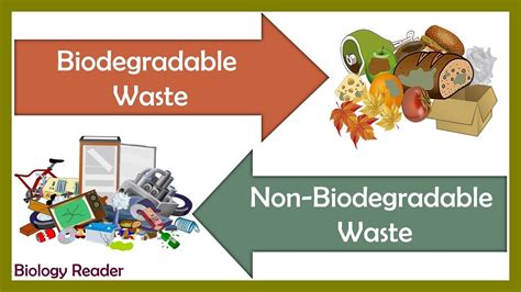 Biodegradable Waste PowerPoint Lower Primary (Teacher-Made), 46% OFF