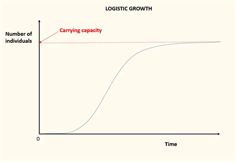 Difference Between Exponential and Logistic Growth | Definition, Characteristics, Examples