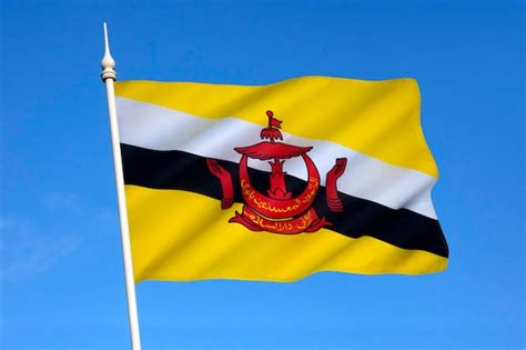 Premium Photo | Flag of brunei