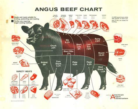 Angus Beef Chart Butcher Cuts Of Meat - Beef Poster