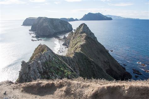 Learn About Anacapa Island — Channel Islands Restoration