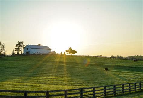 Which Grass Pasture Seed Is Best for Your Animals? | Tools & Guides | Deer Creek Seed