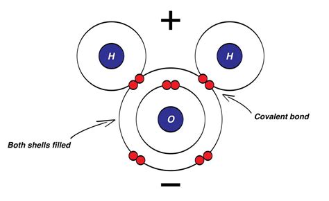 The Electron Dot Diagram of the Hydronium Ion: Uncovering the Chemical ...