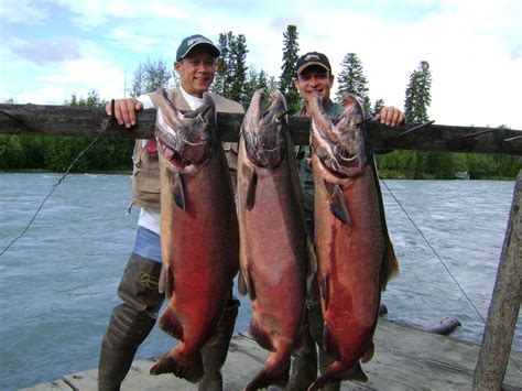 Great Salmon Fishing With Salmon Fishing Charters