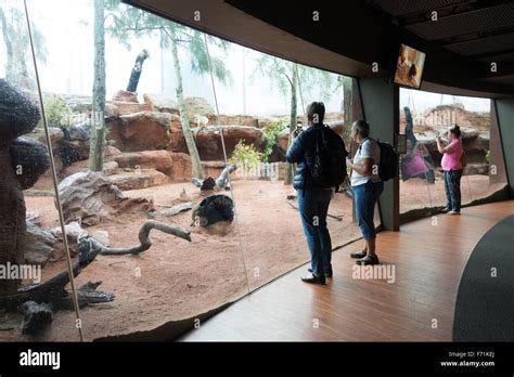 wild life sydney zoo tourist Stock Photo - Alamy