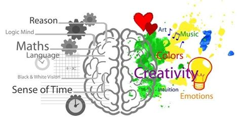 Neuropsicologia: definizione e tecniche diagnostiche e d'intervento