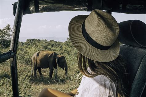 Planning a Safari in Udawalawe, Sri Lanka: Everything You Need To Know ...