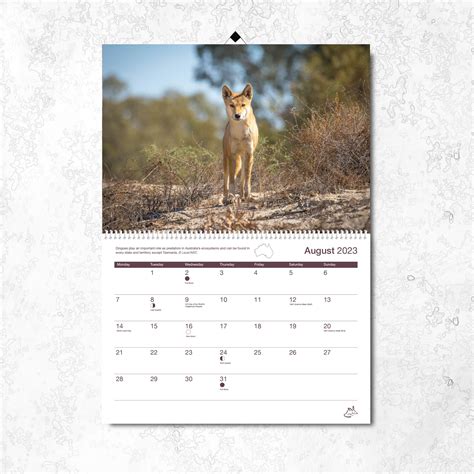 2023 AWC Annual Calendar - AWC - Australian Wildlife Conservancy