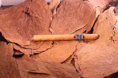 Corona Natural | Cigars Online | En Fuego Cigars & Lounge