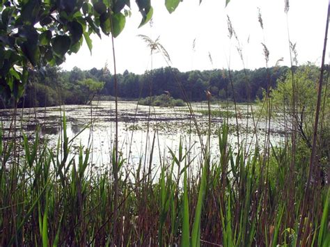 Clay Pit Ponds State Park Preserve, Charleston, Staten Island