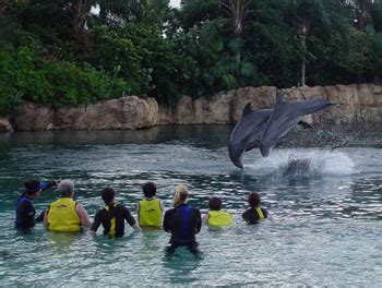 Discovery Cove Orlando - Swim with Dolphins at Discovery Cove Florida