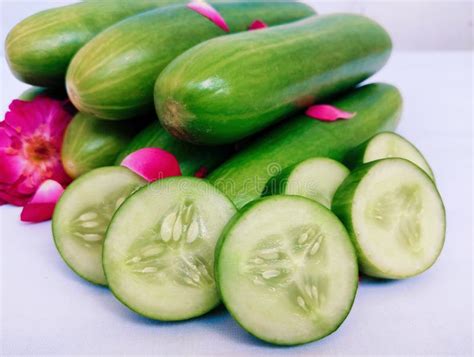 Cucumber Kheera Khira Concombre Gurke Cucumis Sativus Cetriolo Pepino-cucumber for Salad Slicing ...