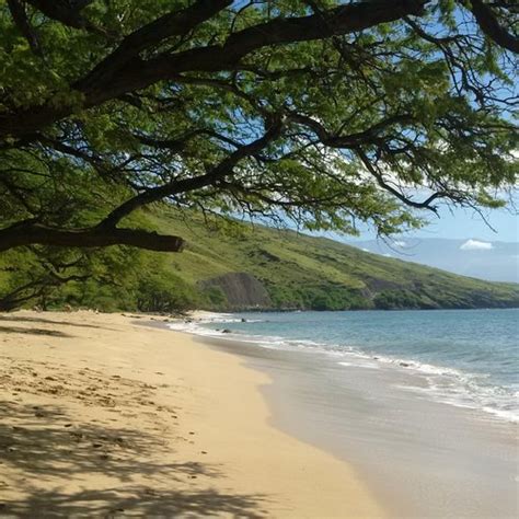 THE 15 BEST Things to Do in Lahaina - 2022 (with Photos) - Tripadvisor