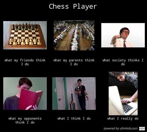 Funny Chess Memes - Chess Forums - Chess.com