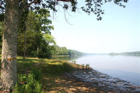 State Forests : Virginia Department of Forestry