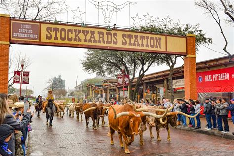 A Guide To The Fort Worth Stockyards | Explore Shaw