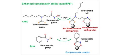 Scheme 1. The predictable adsorption mechanism of dithiocarbamate ...