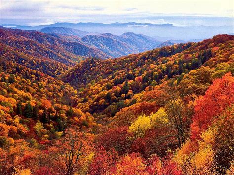 Smoky Mountain Wallpaper Scenes - WallpaperSafari