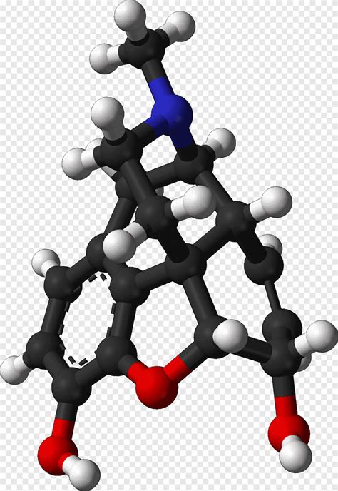 3d structure of morphine