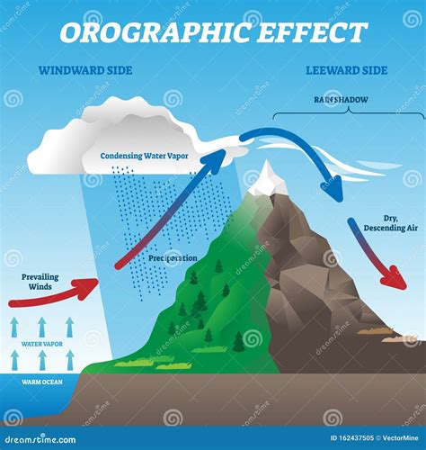 Orographic Effect Vector Illustration. Labeled Weather System Move ...