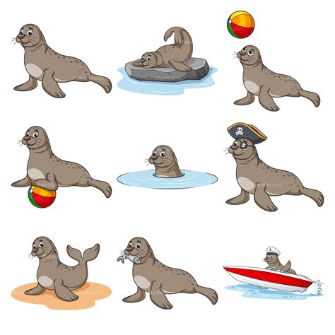 Cute Sea Lion Clipart Vector Collection - FriendlyStock