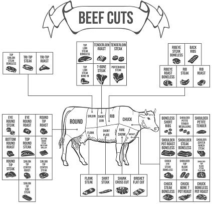 Scheme Of Beef Cuts For Steak And Roast Vector Stock Illustration - Download Image Now - Cutting ...