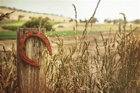 Horseshoe Lucky Luck - Free photo on Pixabay