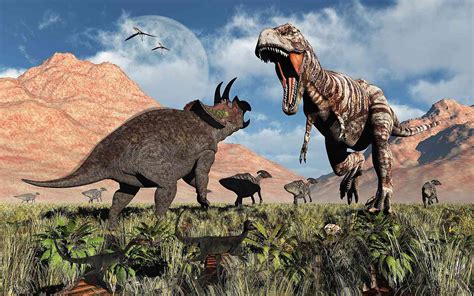 Tyrannosaurus Rex vs. Triceratops in a Dinosaur Fight