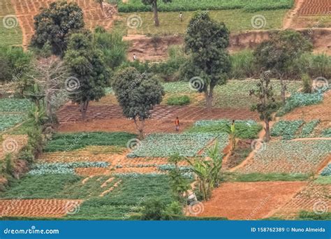 Aerial View of Farmland for Traditional Agriculture with Traditional ...