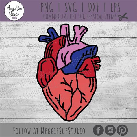 Anatomical Heart SVG, Human Heart SVG, Cartoon Anatomical Heart SVG ...