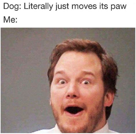 Chris Pratt visits a dog - Meme by GraveyTrain :) Memedroid