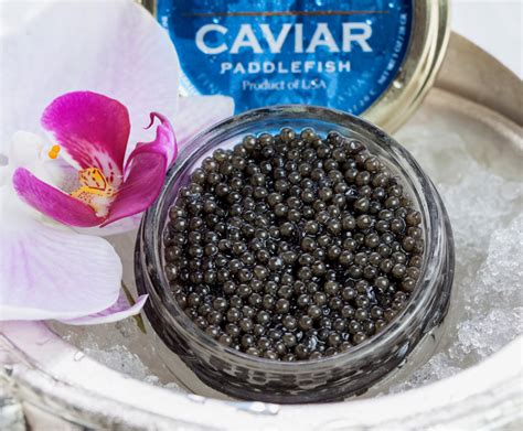 Paddlefish caviar | Company Newsroom of caviar.us