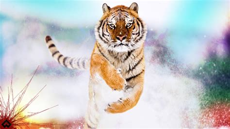 Running Tiger on the Snow by AxeField on DeviantArt