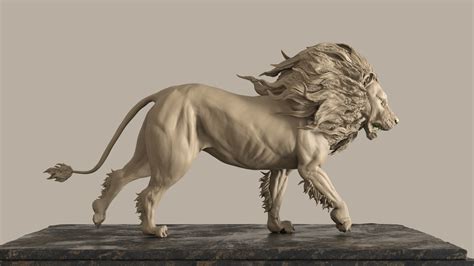 Destello esquina amante cubebrush lion anatomy Ánimo Penetrar carne de vaca