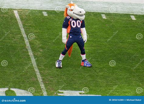 Image of Denver Broncos Mascot Miles Editorial Image - Image of field ...