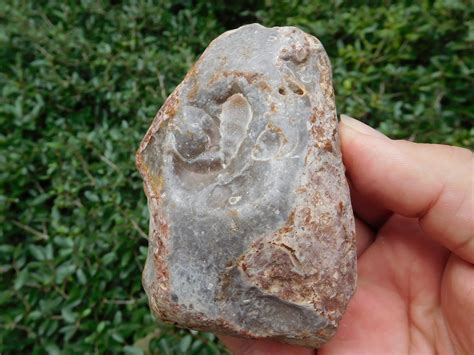 Cretaceous chert fossils from Texas - Member Collections - The Fossil Forum