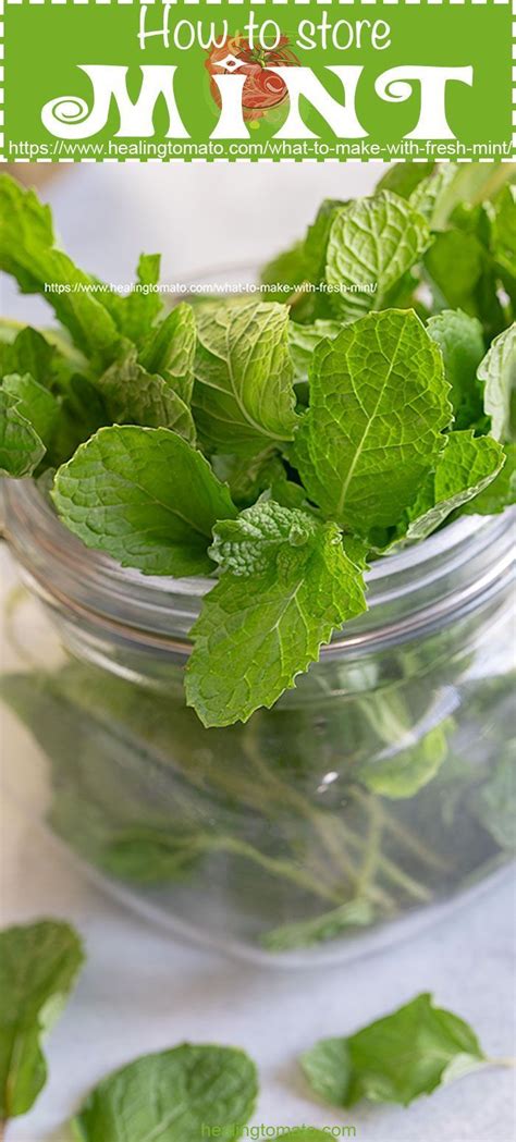 What to do with fresh mint? #healingtomato #mint #howto #freshmint # ...