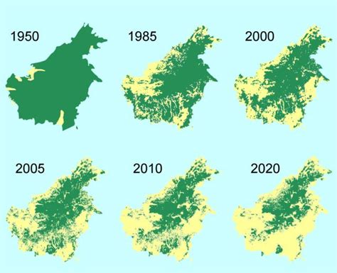 Zelený mor Bornea: Nebezpečný boom palmy olejné | 100+1 zahraniční zajímavost