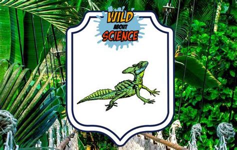 Wild Kratts Science: Basilisk Lizard | Small Online Class for Ages 5-8